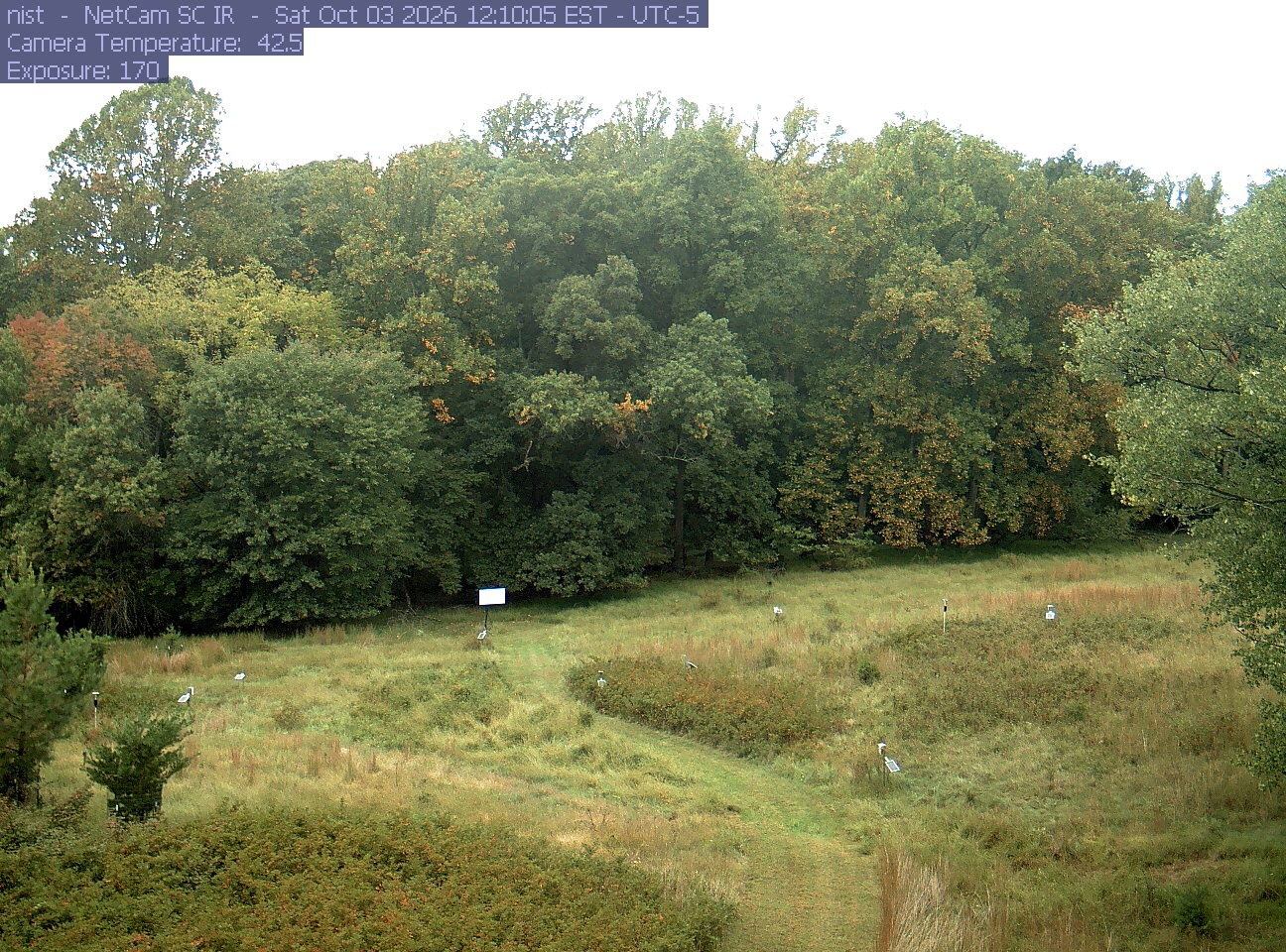 A green meadow with instruments lies below a broad forest edge. Green, yellowing and a few orange-red crowns can be distinguished clearly across the tree line.