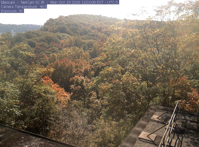A wooded ridge rises behind close canopy at Lamont–Doherty Earth Observatory.
