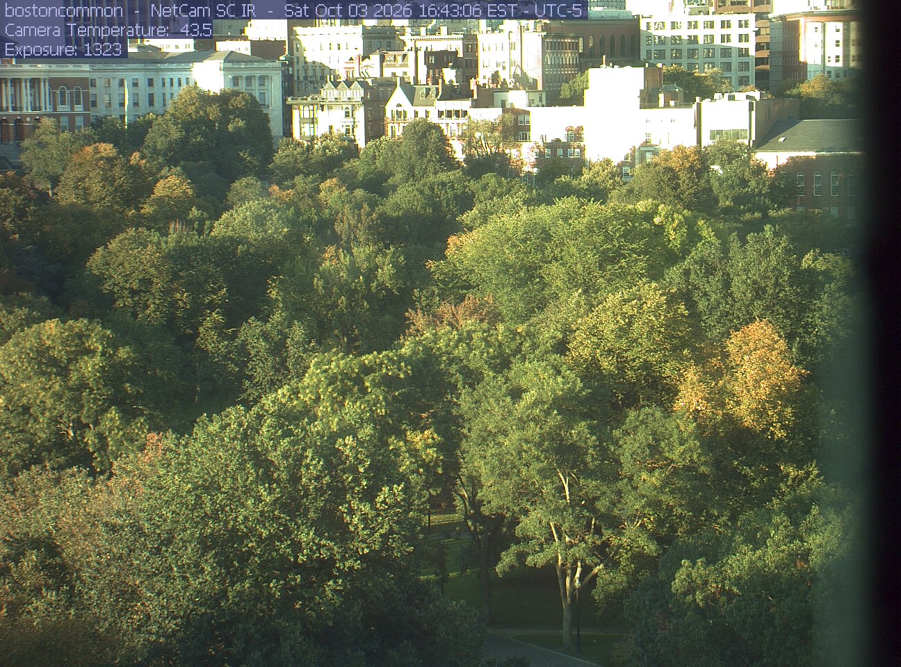 Buildings rise behind the park canopy; a fixed structure covers part of the right edge.