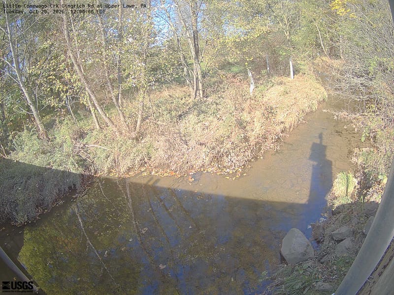 A wooded creek and nearby yellowing leaves are visible, but a washed-out exposure makes colour and fine crown detail unreliable. Local scenery context only.
