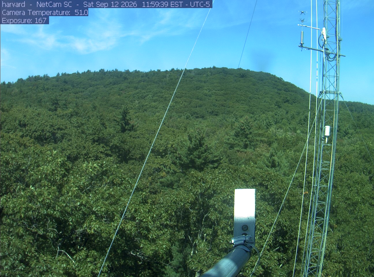 Forest canopy surrounds the tower, with a mast and instruments in the foreground.