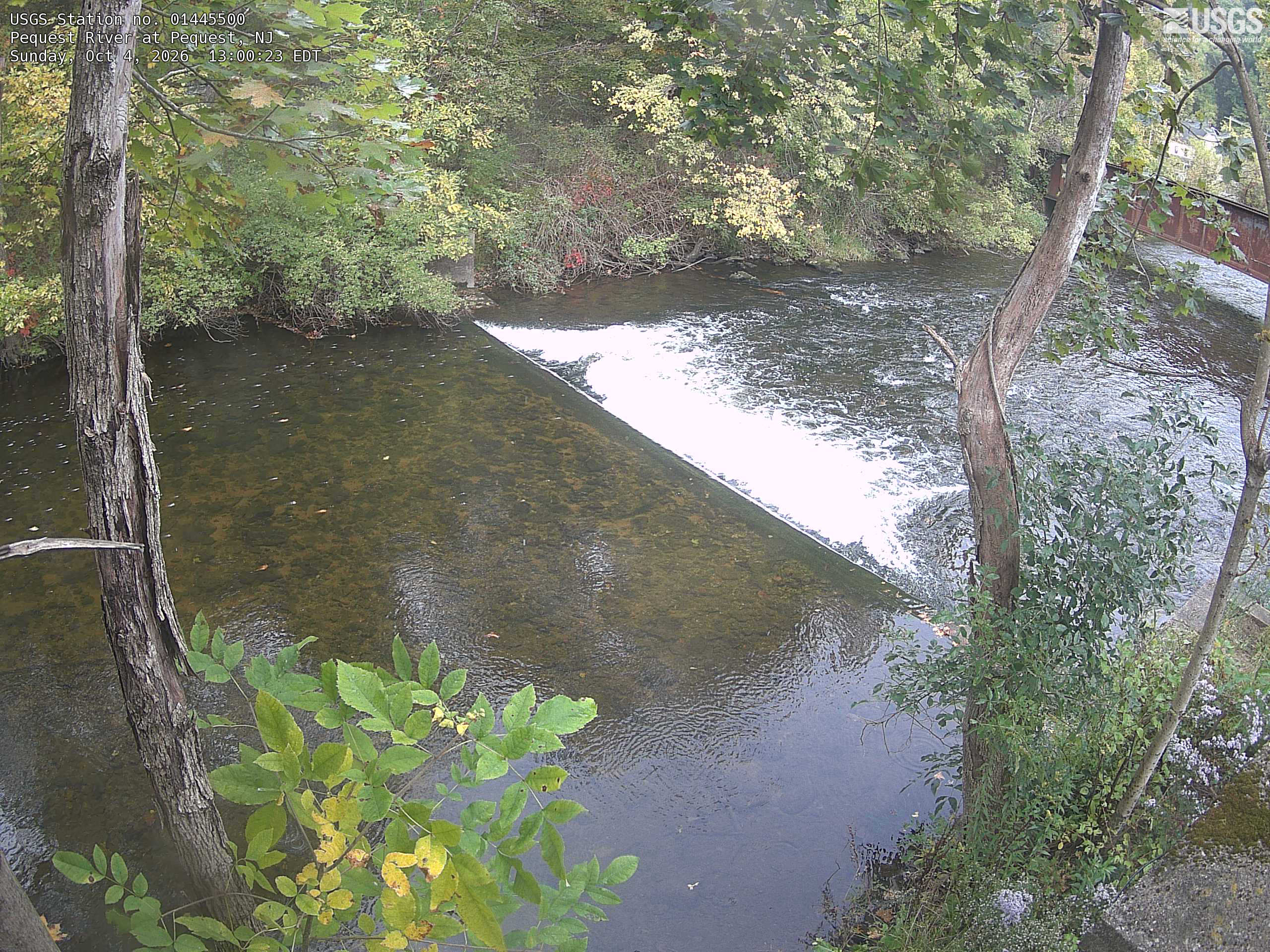Clear nearby green and yellow leaves, trunks, and opposite-bank shrubs frame a low river barrier. A few red leaves are visible across the water. Fine leaf detail and broad local colour are readable.