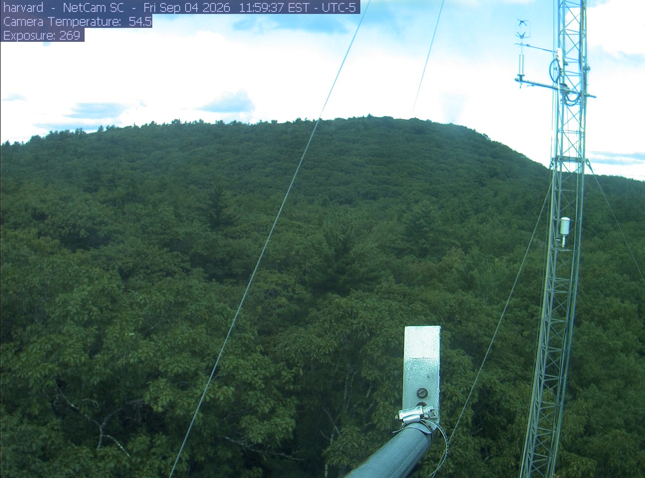 Forest canopy surrounds the tower, with a mast and instruments in the foreground.