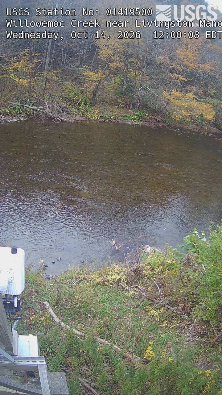 A shallow clear stream below a wooded bank, with yellowing tree branches against darker green woods. The provider original is a narrow 720-by-1280 portrait with large title text and some gauge equipment at lower left. The far-bank trees still provide a readable local foliage view.
