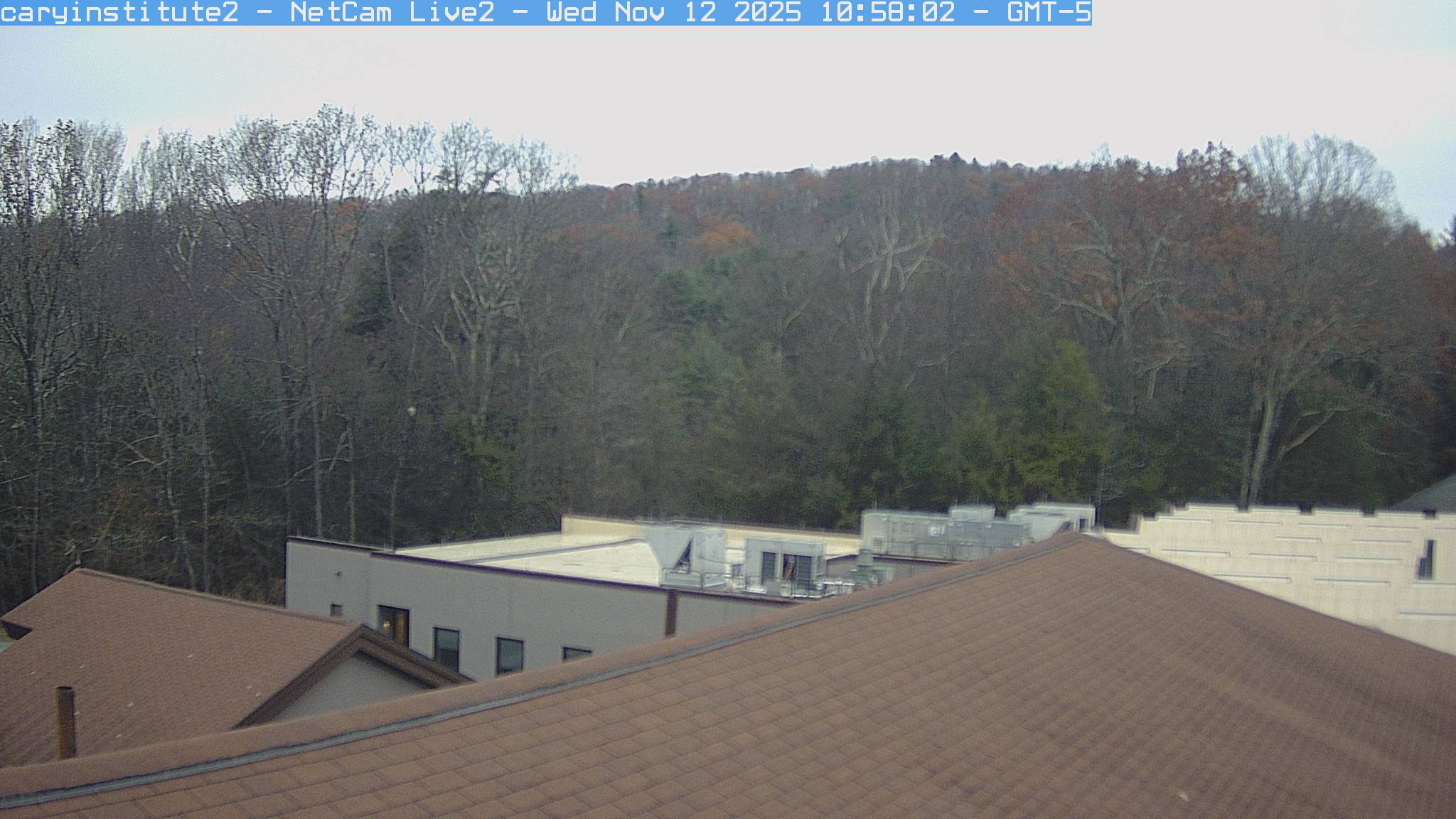 A rooftop camera at the Cary Institute in Millbrook looks over a shingle roof and a flat-roofed building to broadleaf woods and a ridge.