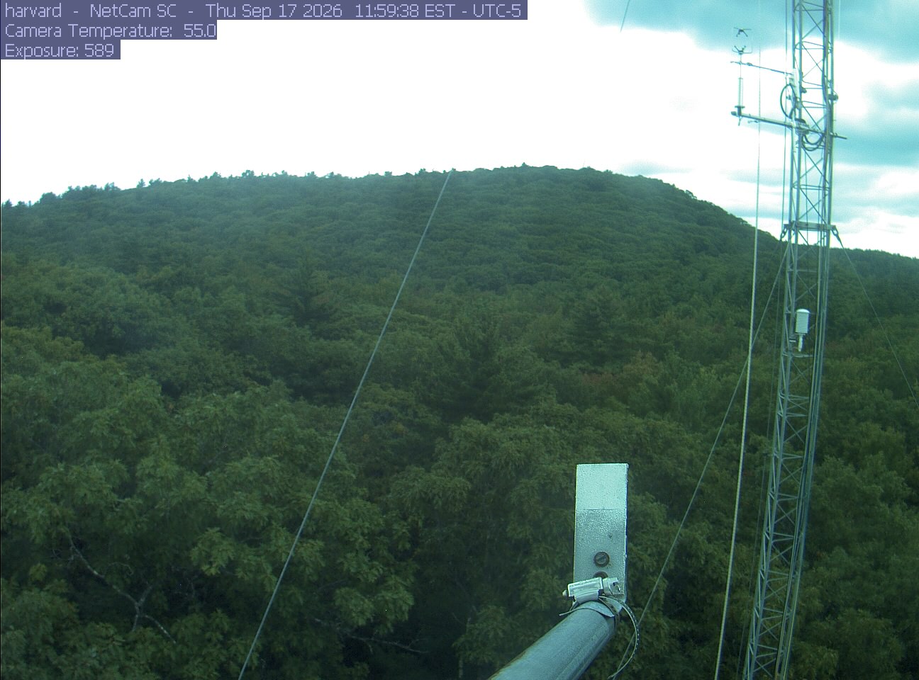 Forest canopy surrounds the tower, with a mast and instruments in the foreground.