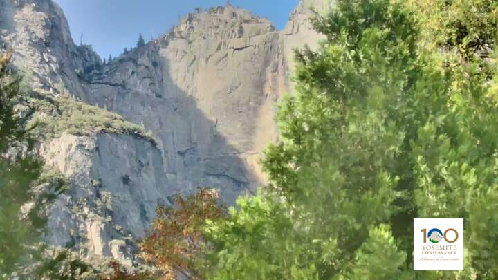The granite walls of Upper Yosemite Fall rise above green conifers in Yosemite Valley.