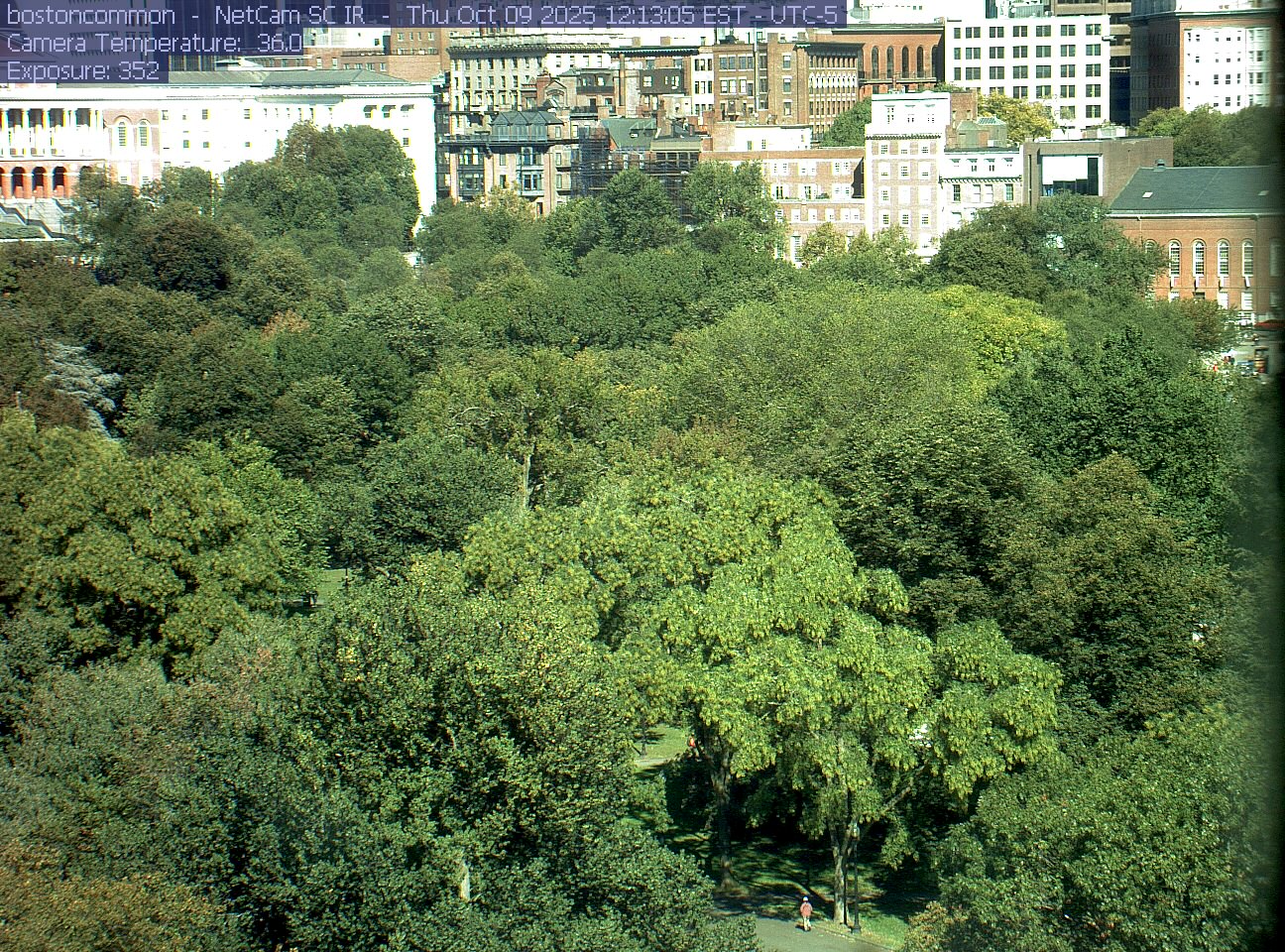 Buildings rise behind the park canopy; a fixed structure covers part of the right edge.