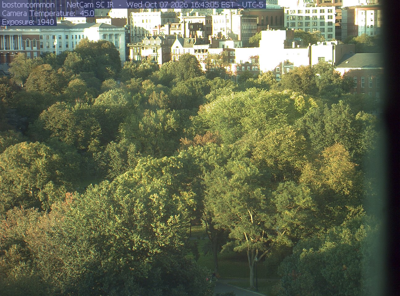 Buildings rise behind the park canopy; a fixed structure covers part of the right edge.