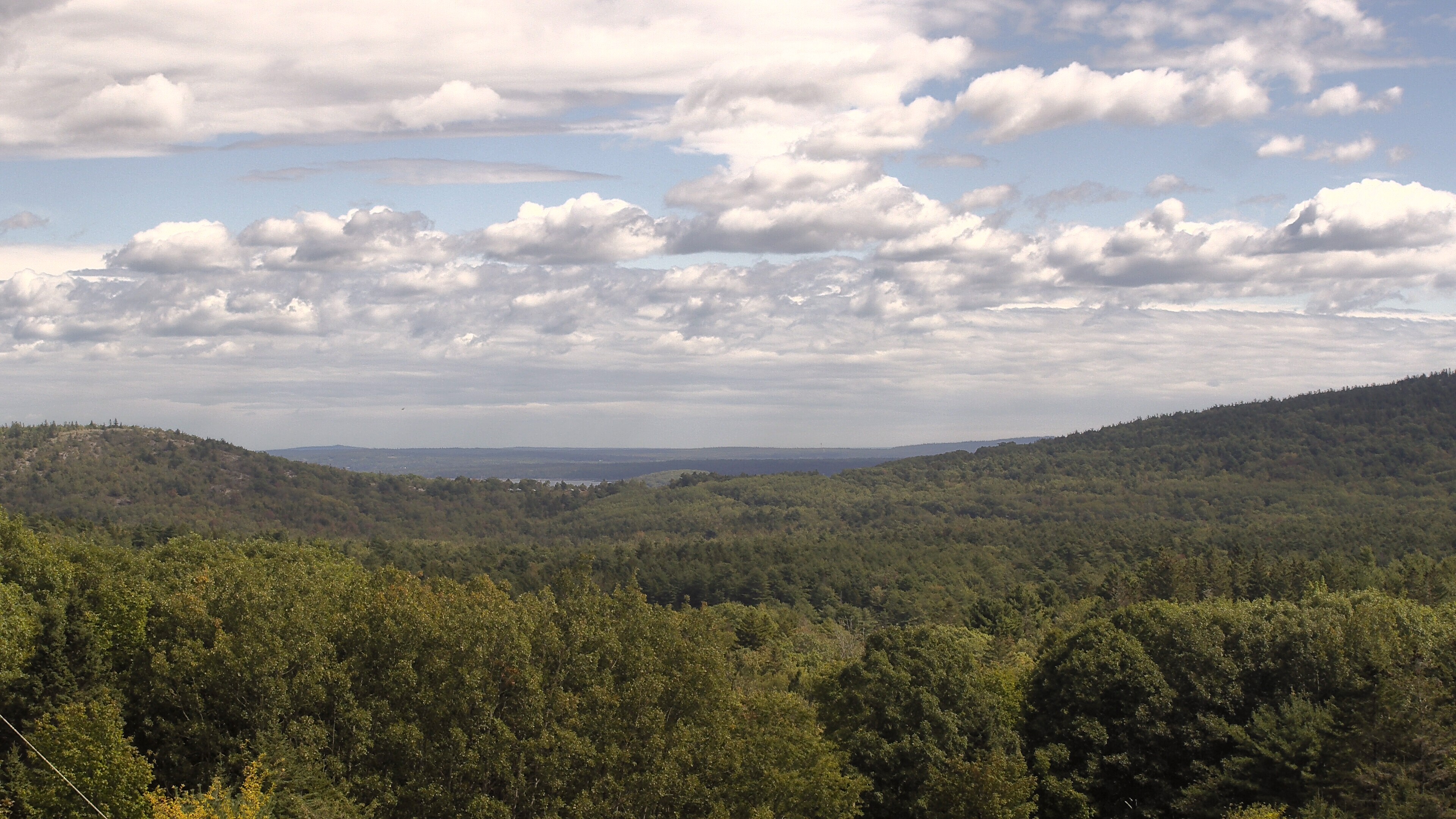 A wooded valley opens toward distant water, seen from McFarland Hill.