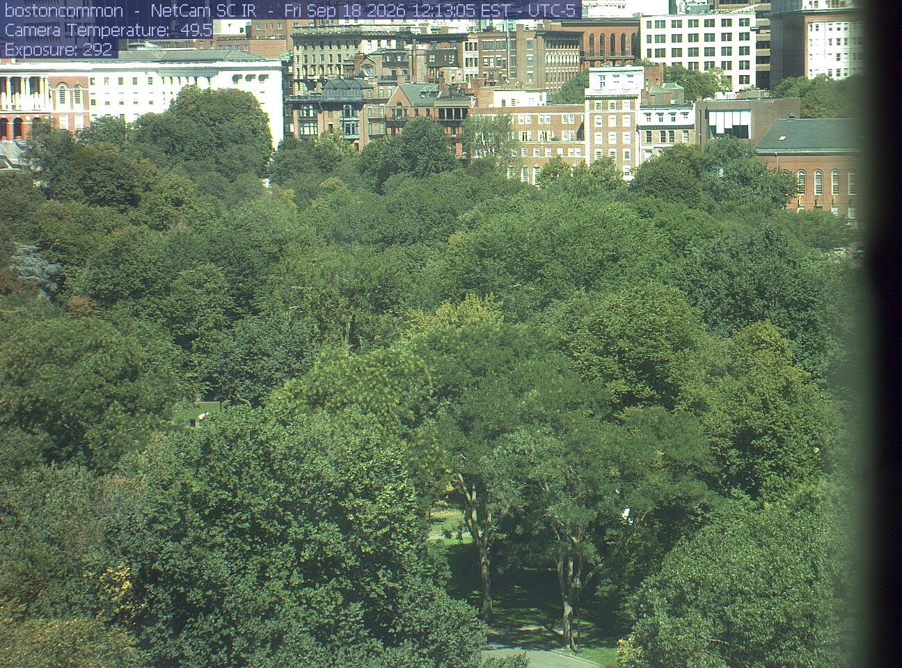 Buildings rise behind the park canopy; a fixed structure covers part of the right edge.