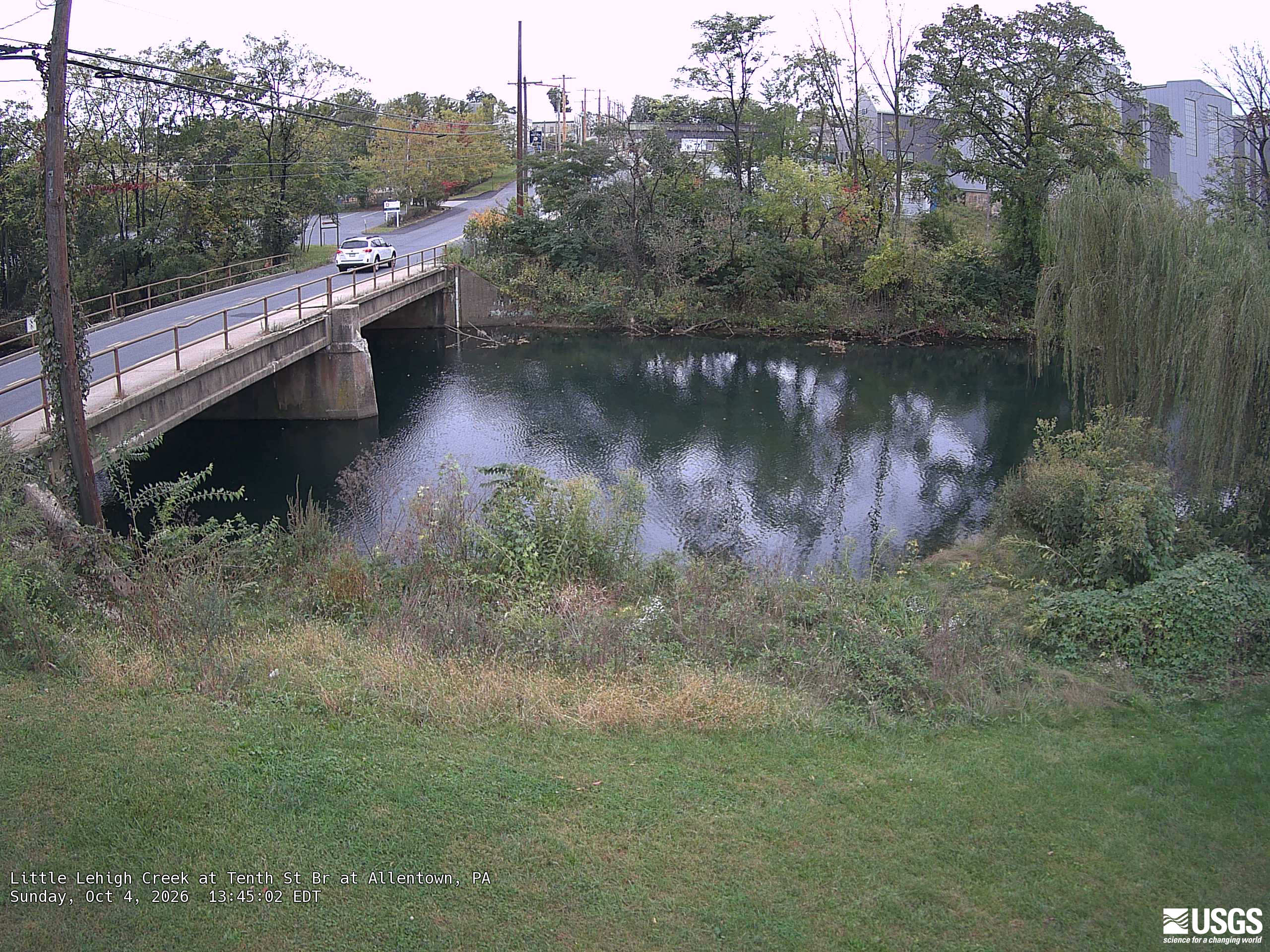 Clear urban creek banks with several trees, including a large green drooping crown at right and yellow/red patches across the road. Buildings and bridge remain prominent; the view represents this local setting.