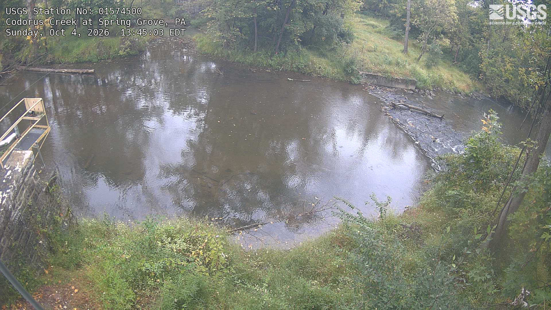 Wooded creek banks are visible around a broad central pool. Flat light and haze soften the crown colours, although close green/yellow leaves can be distinguished.