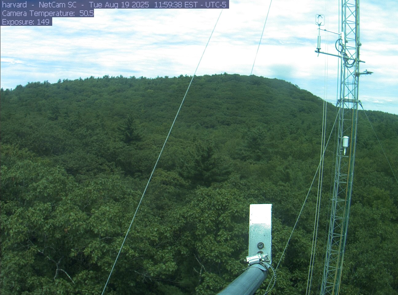 Forest canopy surrounds the tower, with a mast and instruments in the foreground.