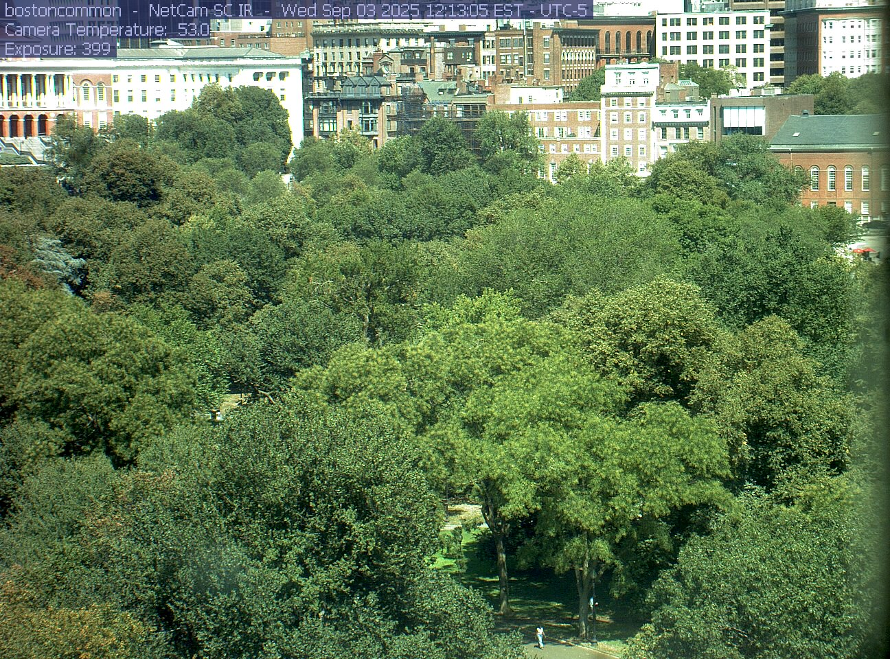 Buildings rise behind the park canopy; a fixed structure covers part of the right edge.