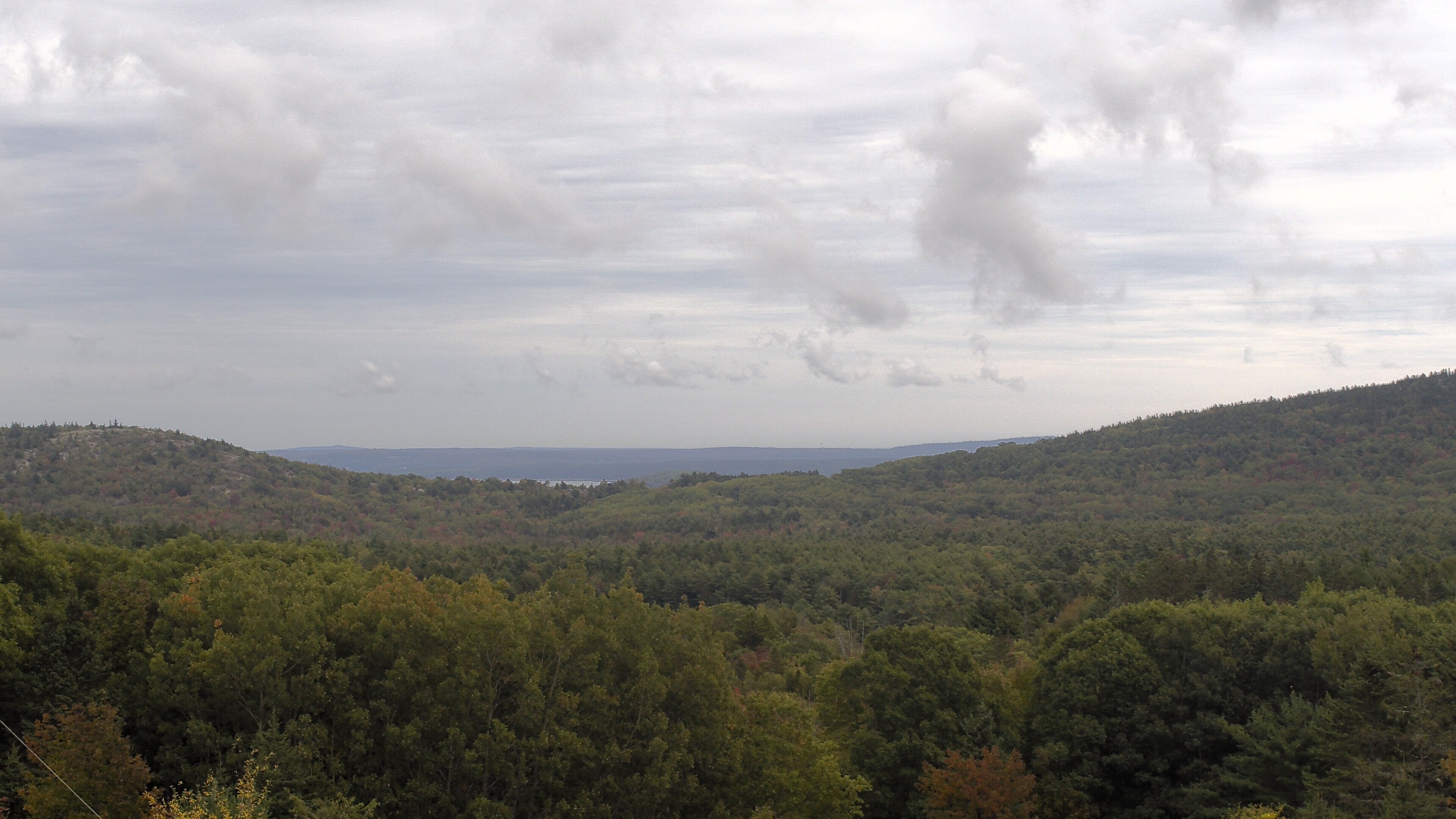 A wooded valley opens toward distant water, seen from McFarland Hill.