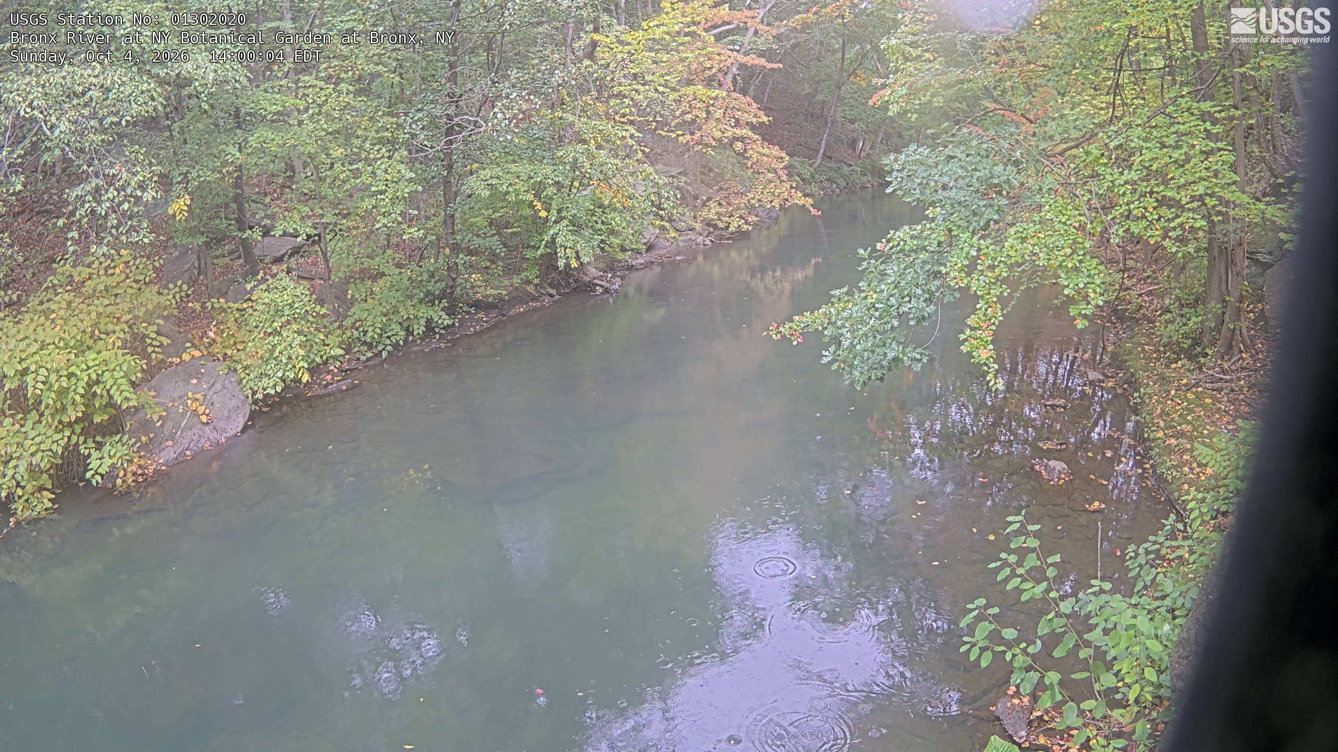 A wooded river bend framed by dense green leaves, scattered yellowing branches and muted orange foliage over the water. Haze and a dark edge at right affect part of the picture, but the visible tree branches are broad and clear. The view is one part of the garden's river corridor.