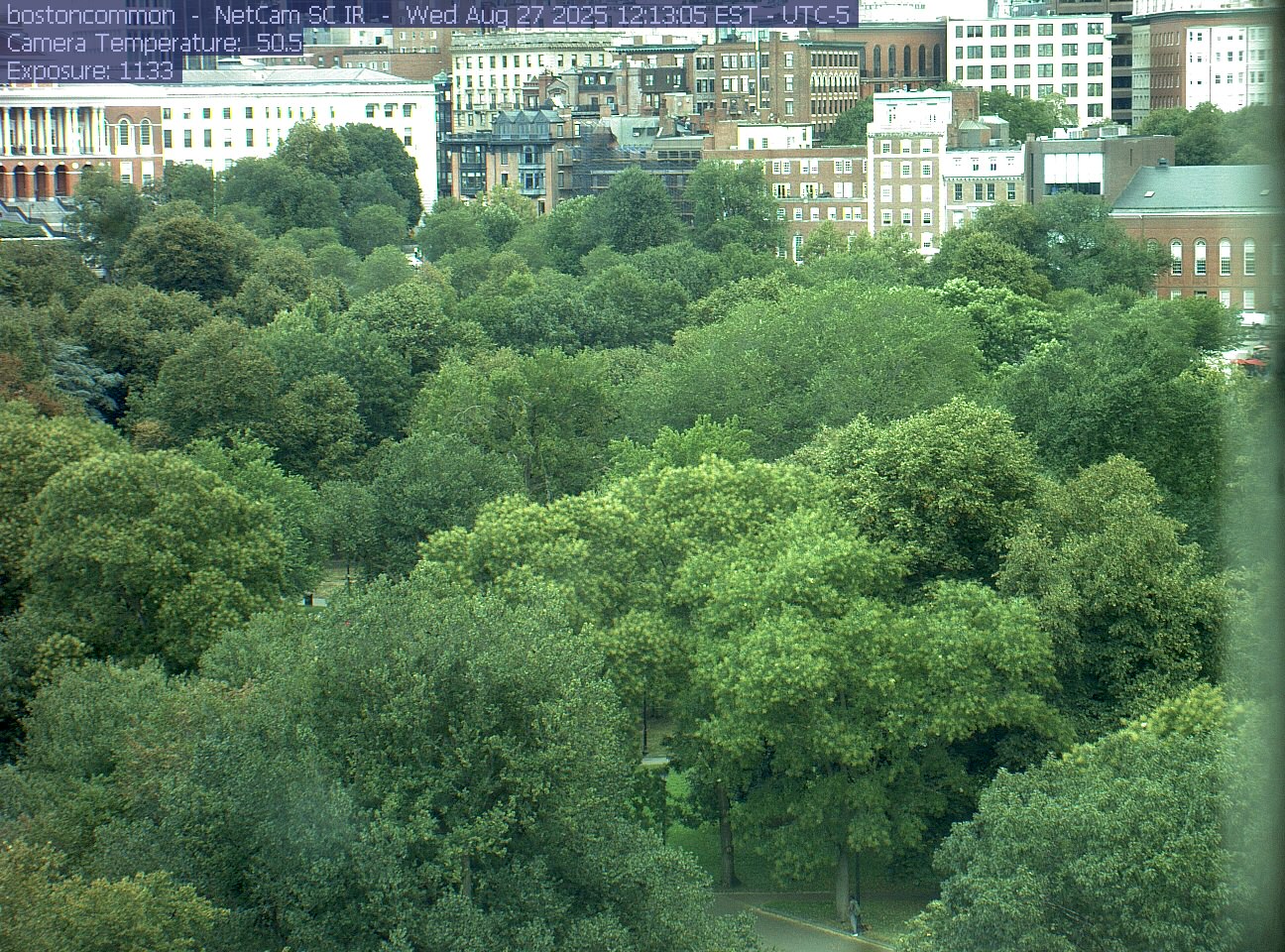Buildings rise behind the park canopy; a fixed structure covers part of the right edge.