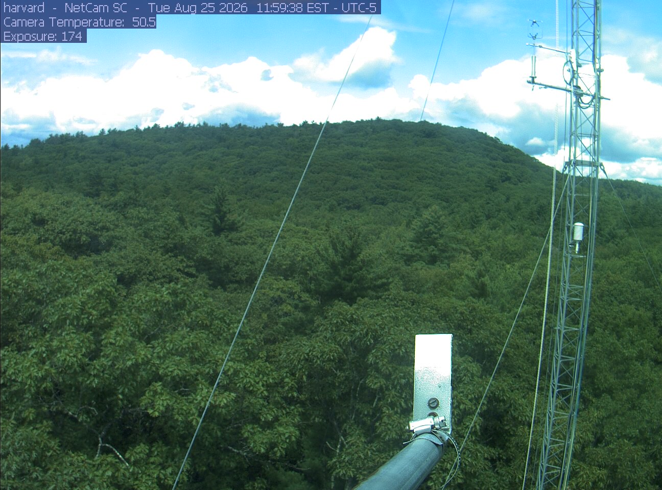 Forest canopy surrounds the tower, with a mast and instruments in the foreground.