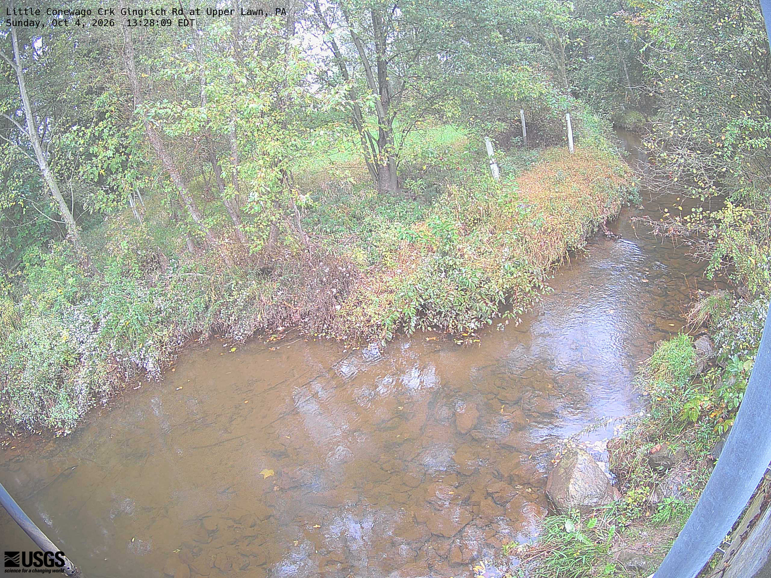 A wooded creek and nearby yellowing leaves are visible, but a washed-out exposure makes colour and fine crown detail unreliable. Local scenery context only.