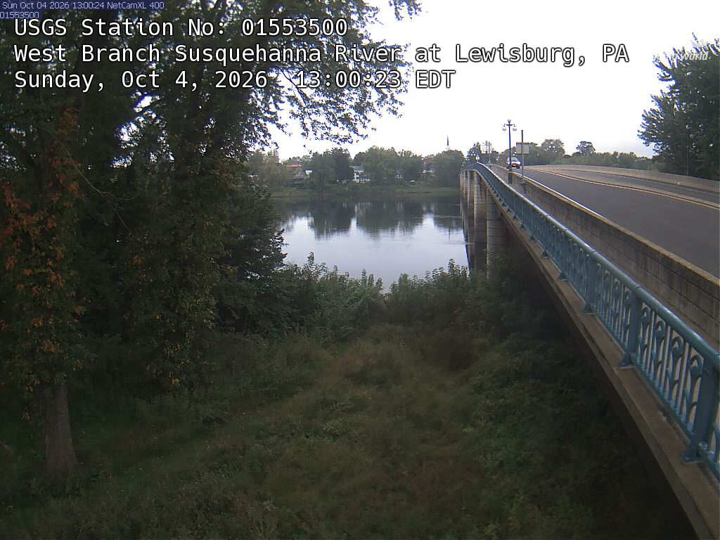Nearby trees are in deep shadow beside a bridge; a distant tree-lined bank is visible beyond the river. Broad setting is clear but individual crown colours are difficult to assess.