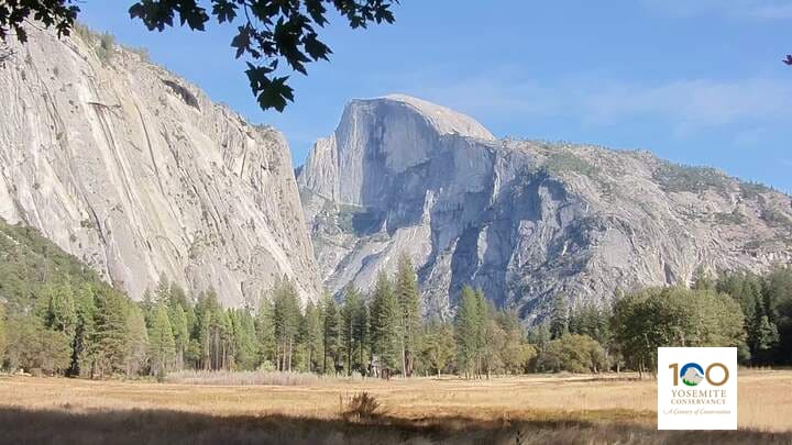 Half Dome’s sheer face rises above the grass of Ahwahnee Meadow, with granite cliffs at the left and pines along the meadow’s edge.