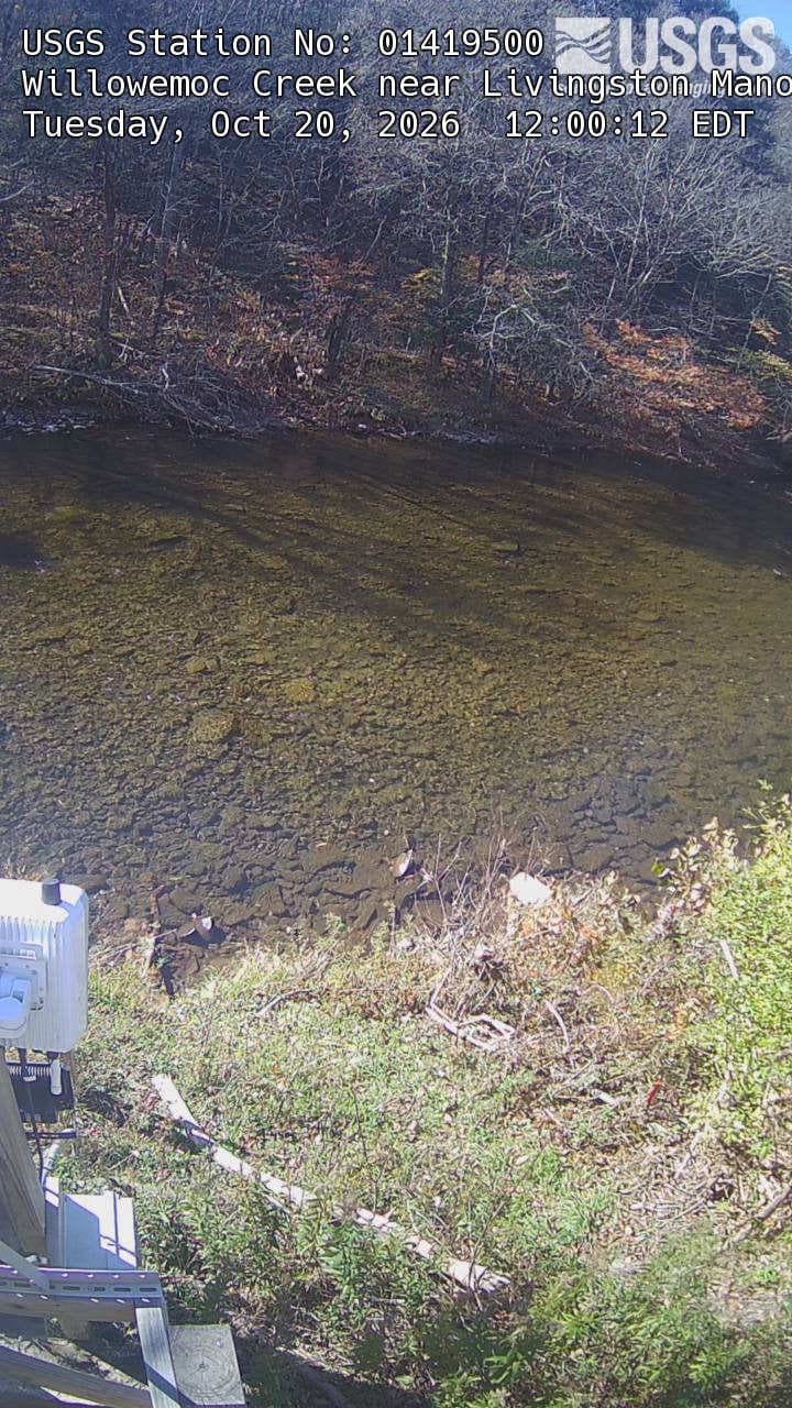 A shallow clear stream below a wooded bank, with yellowing tree branches against darker green woods. The provider original is a narrow 720-by-1280 portrait with large title text and some gauge equipment at lower left. The far-bank trees still provide a readable local foliage view.