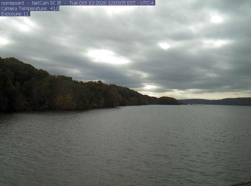 Wide river cove with a wooded shoreline to the left. Strong backlight, water glitter and vertical lens flare leave the canopy dark; the scene is attractive shoreline context but a weak guide to leaf color.