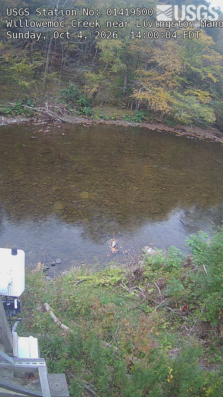 A shallow clear stream below a wooded bank, with yellowing tree branches against darker green woods. The provider original is a narrow 720-by-1280 portrait with large title text and some gauge equipment at lower left. The far-bank trees still provide a readable local foliage view.