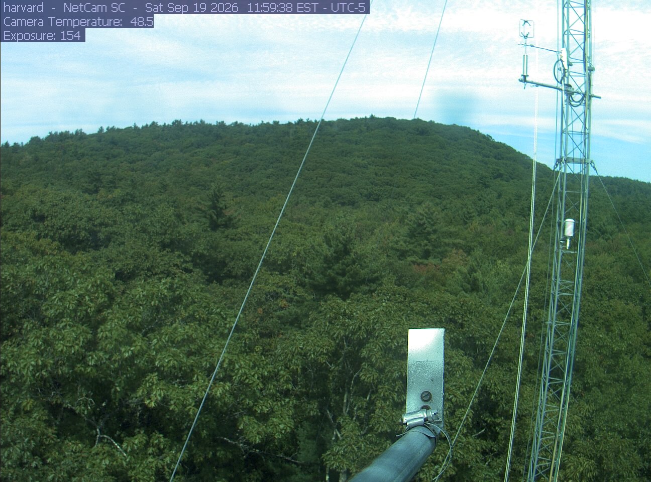 Forest canopy surrounds the tower, with a mast and instruments in the foreground.