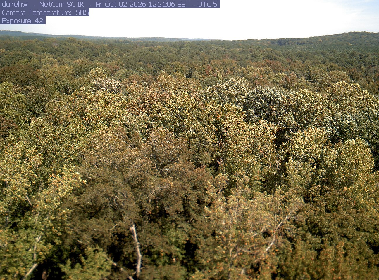 A clear, extensive hardwood canopy shows green, olive and yellow crowns with scattered rusty patches. The rain drops seen in the October 3 image are absent.
