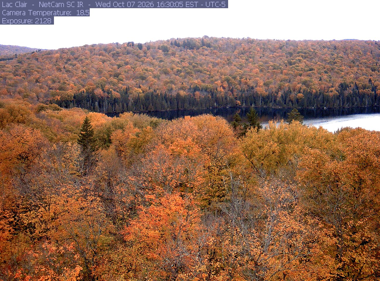 A wooded hillside and close canopy frame the water at Lac Clair.
