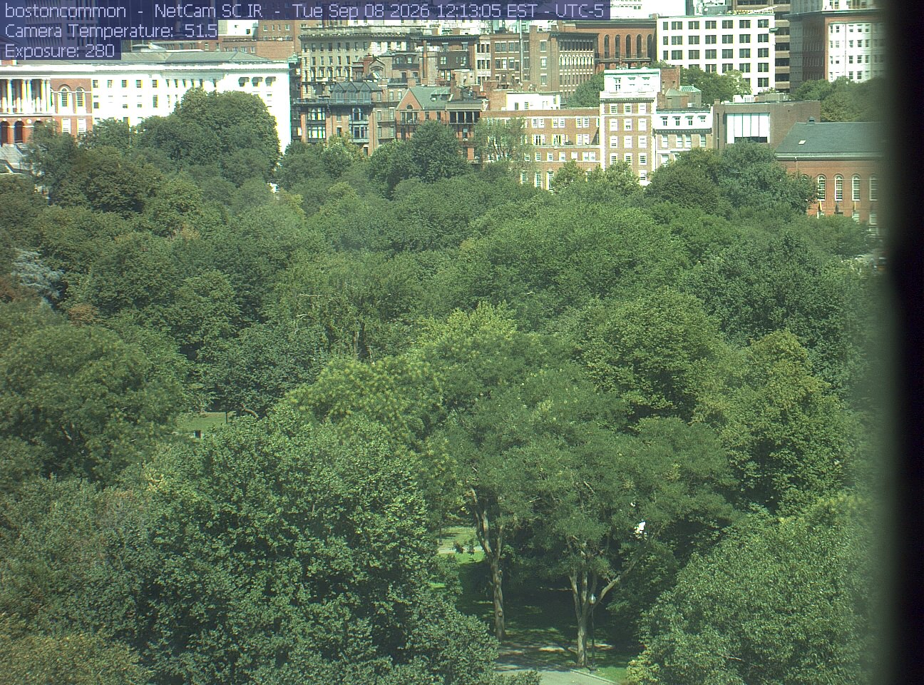 Buildings rise behind the park canopy; a fixed structure covers part of the right edge.
