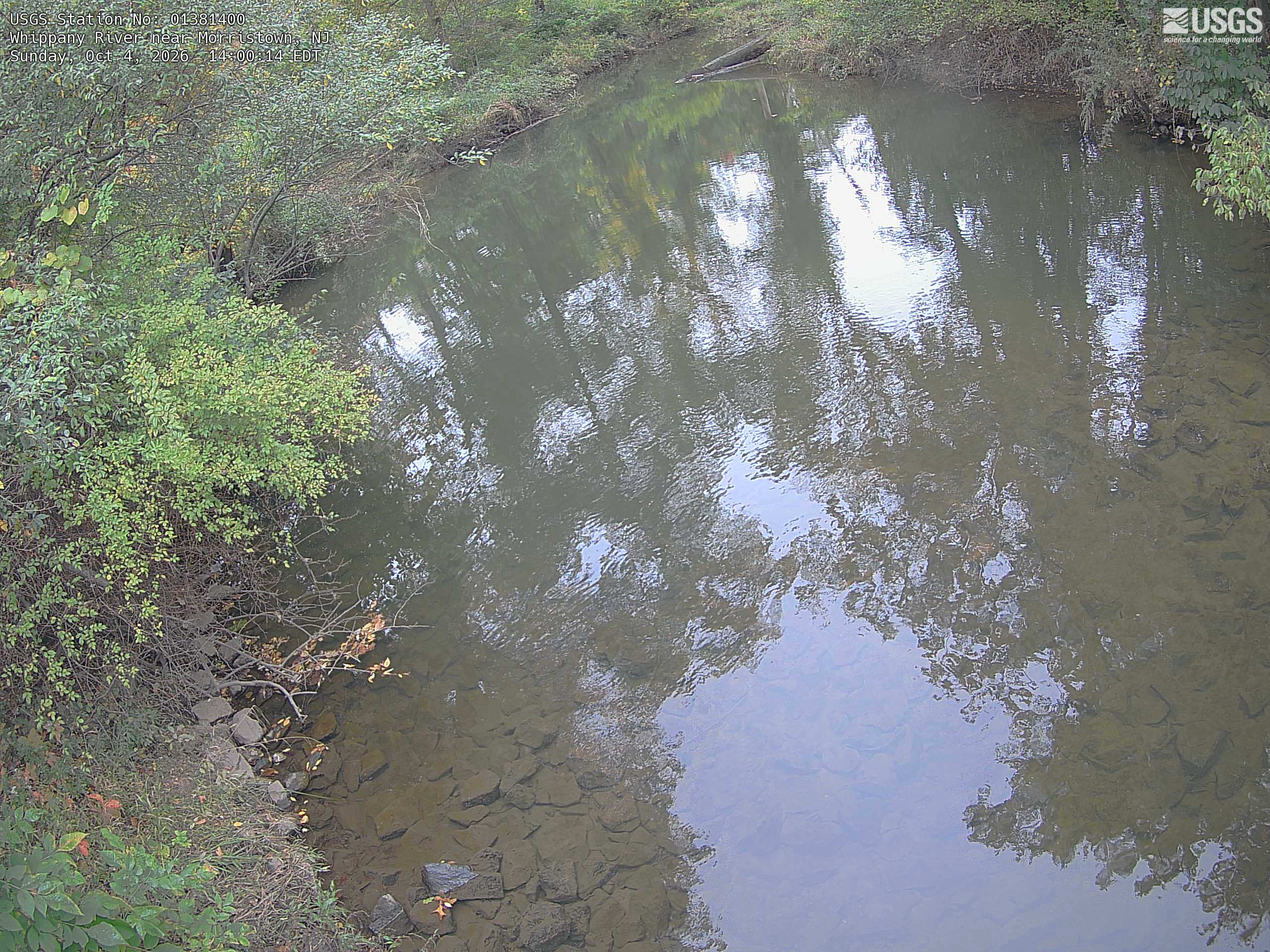 A quiet wooded stream fills the scene, with a broad readable band of green and yellowing riverside foliage on the left and reflections on the water.