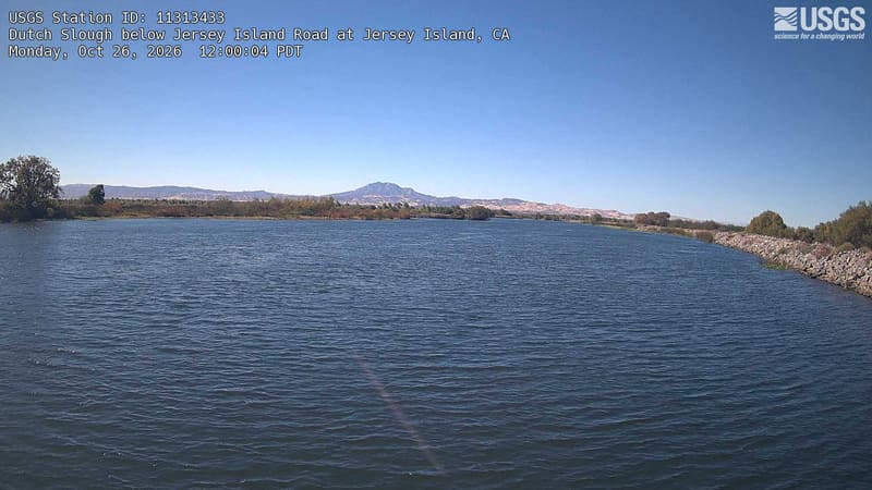 The broad slough stretches between low brush and scattered trees. A large tree stands on the left bank, with small patches of russet leaves farther along the water.