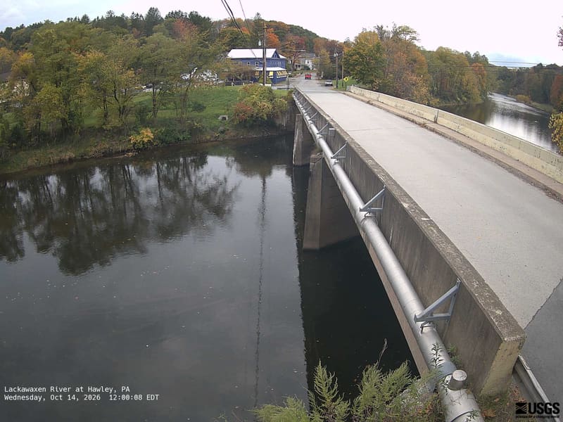 Clear trees on both riverbanks and the small hillside behind a bridge. The crowns are mainly green, with yellow and orange patches easy to see. Bridge and buildings are substantial parts of this local scene.