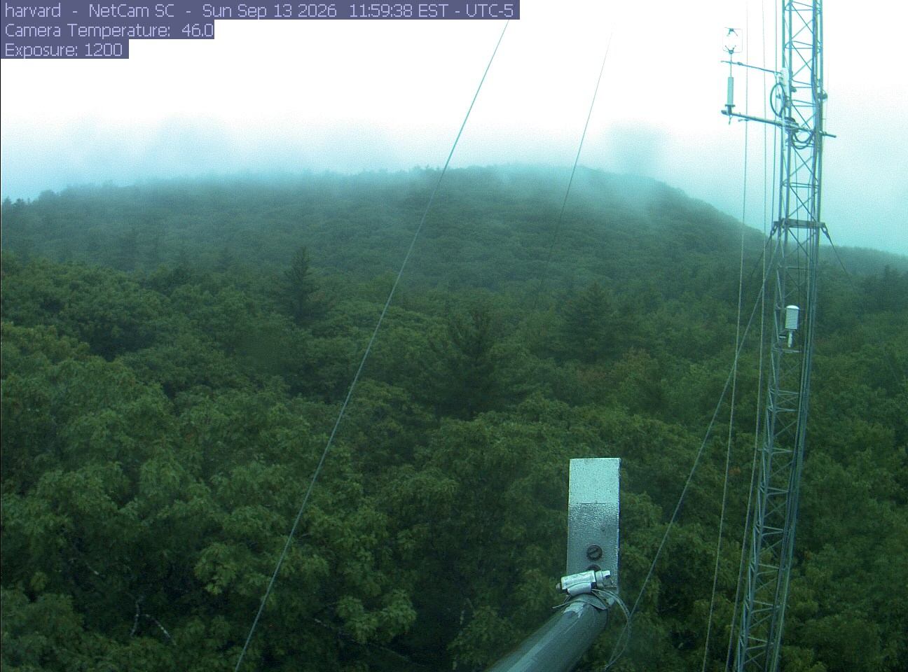 Forest canopy surrounds the tower, with a mast and instruments in the foreground.