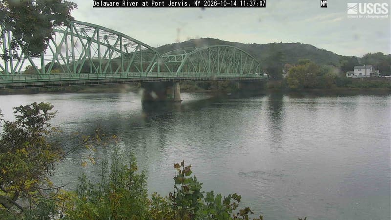 A wide river and green metal bridge below a wooded hill, with near green branches and small yellow patches on the opposite bank. Bridge and water dominate, and lens spots soften portions of the scene.