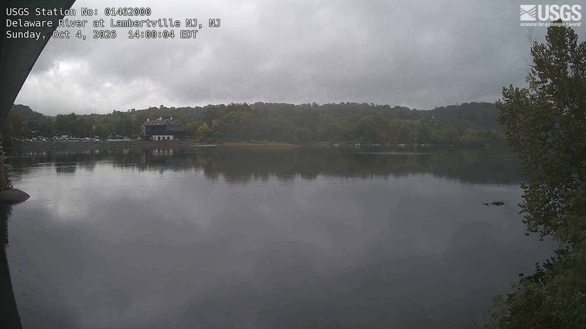 A broad river and wooded opposite shore are visible beneath a grey sky. Haze and distance suppress leaf detail and colour across the bank, with only a near tree at the right edge.