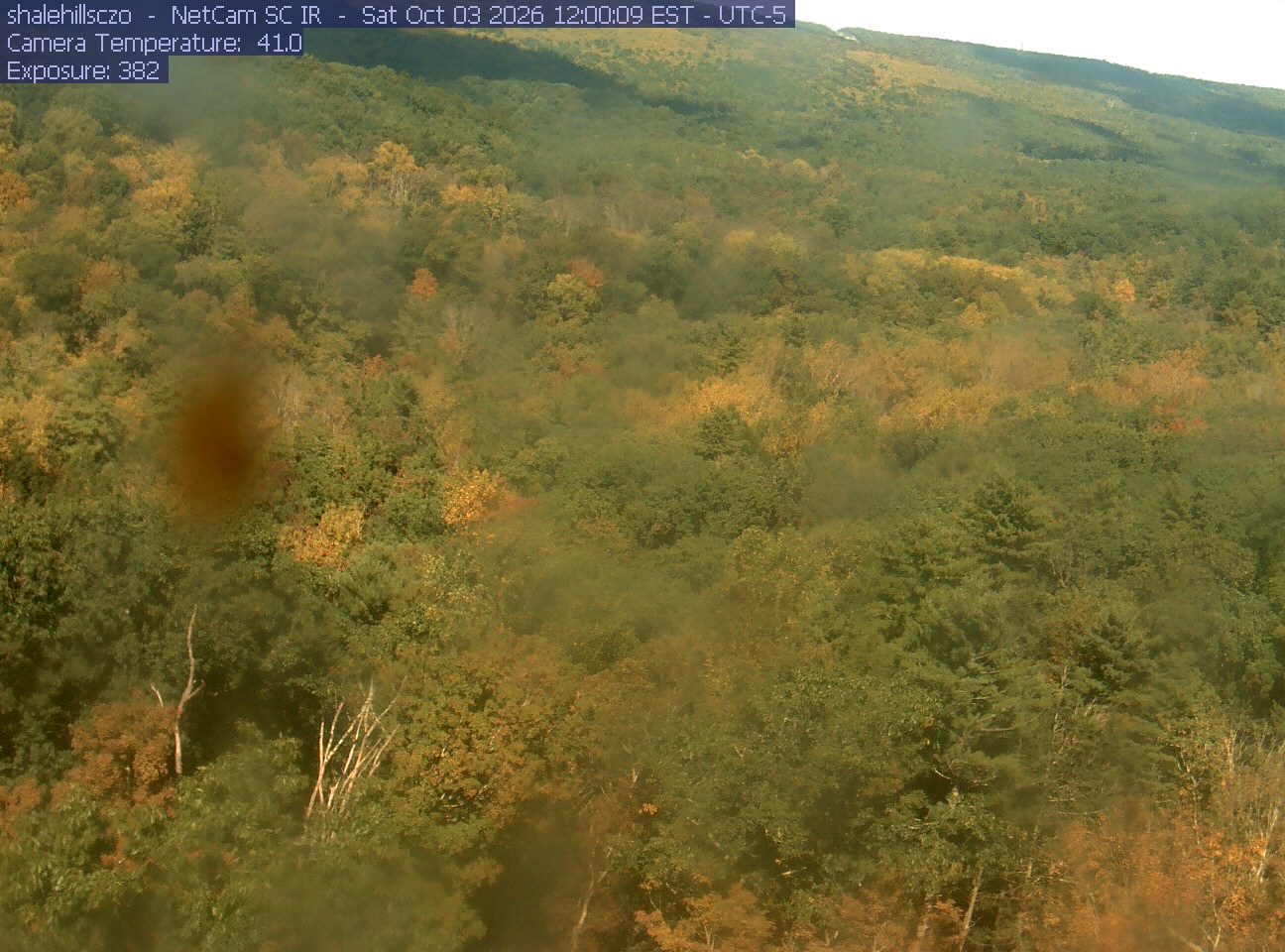 Broad wooded hillside with green, yellow and orange crowns. Multiple large soft dark and translucent lens marks blur substantial areas. Readable overall woodland change, with poor fine color detail.