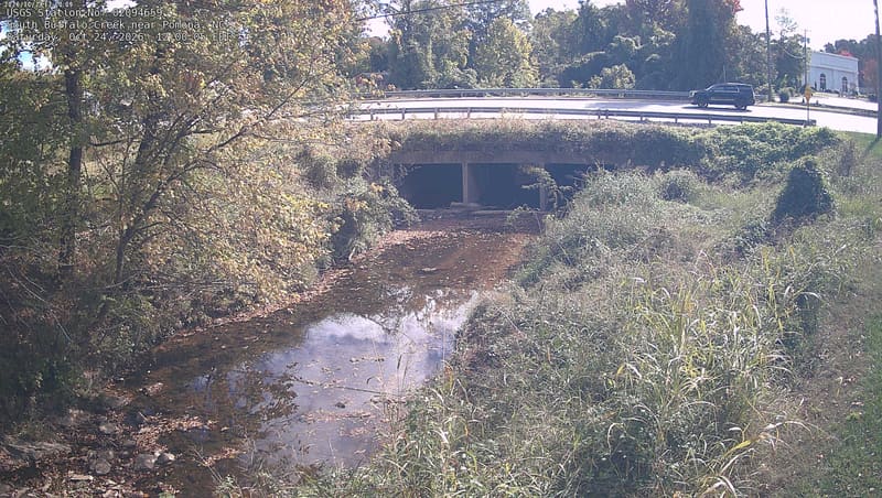 South Buffalo Creek runs out from under a road between brushy banks and trees beginning to yellow.