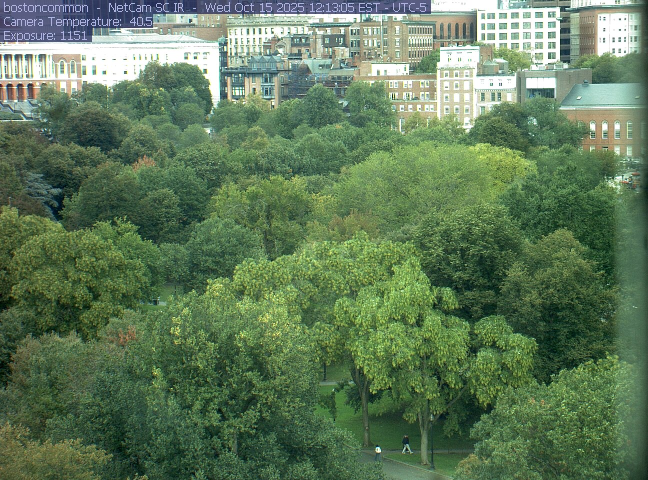 Buildings rise behind the park canopy; a fixed structure covers part of the right edge.