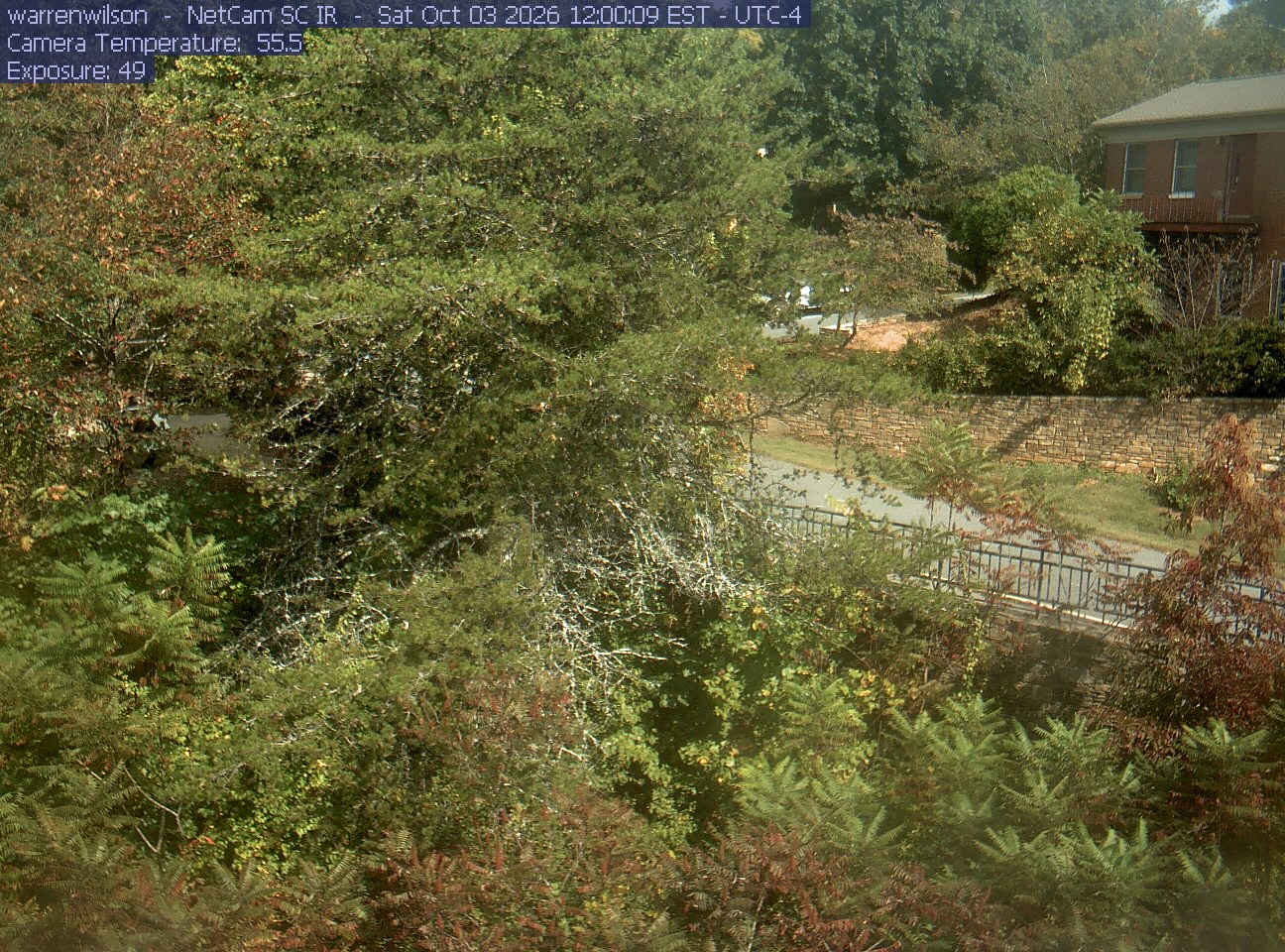 Green and lightly yellowing trees frame a small bridge and campus buildings, with rusty leaves at the lower edges. Nearby branches remain readable across much of the scene.