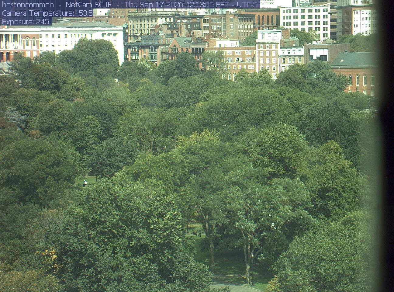 Buildings rise behind the park canopy; a fixed structure covers part of the right edge.