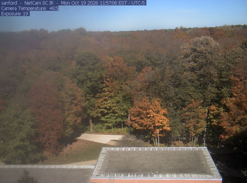 A broad stand of green, orange and red crowns fills most of the view above a foreground roof. A haze over the left half softens the crowns there, while those on the right stay sharp.