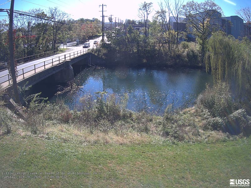 Clear urban creek banks with several trees, including a large green drooping crown at right and yellow/red patches across the road.