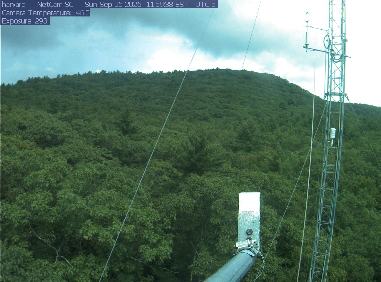 Forest canopy surrounds the tower, with a mast and instruments in the foreground.