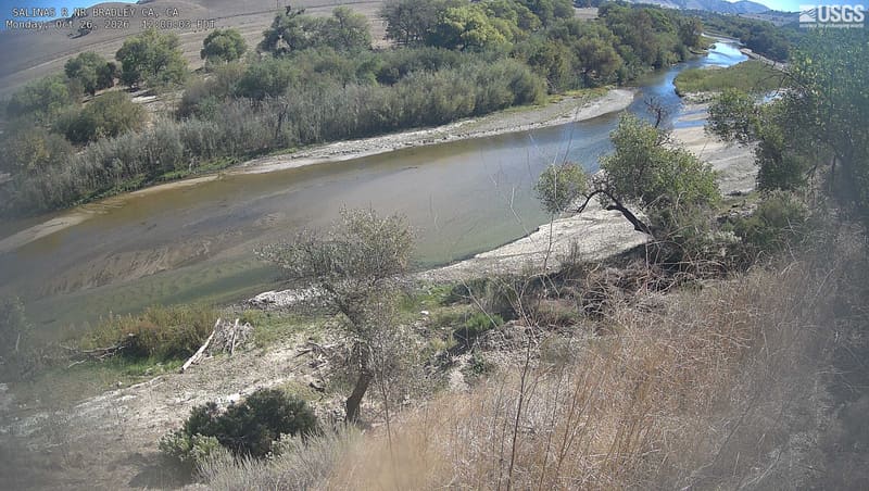 The Salinas winds through wooded banks and tall reeds beneath dry rolling hills. Green and olive crowns mingle with muted yellow foliage and brown foreground grasses.