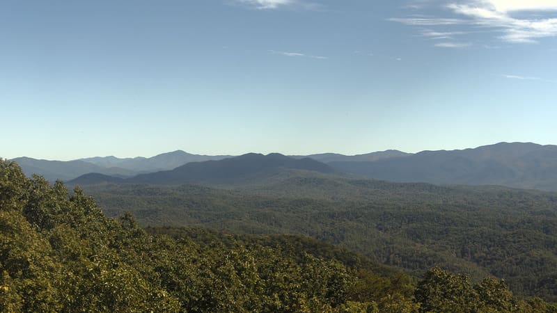 Green oak crowns in the near foreground over a wide forested valley, ridge after ridge going blue into the haze; the lower Smokies, which turn late.