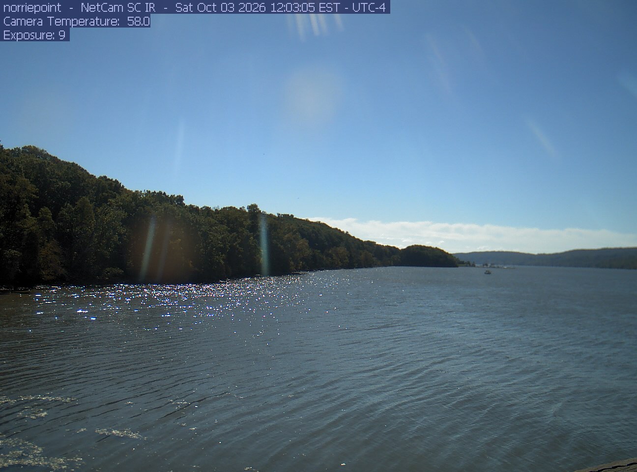 Wide river cove with a wooded shoreline to the left. Strong backlight, water glitter and vertical lens flare leave the canopy dark; the scene is attractive shoreline context but a weak guide to leaf color.
